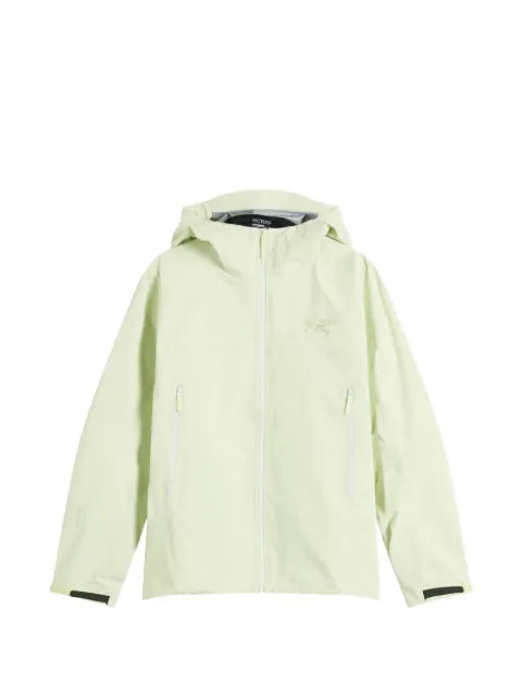 Arc'teryx hooded beta jacket