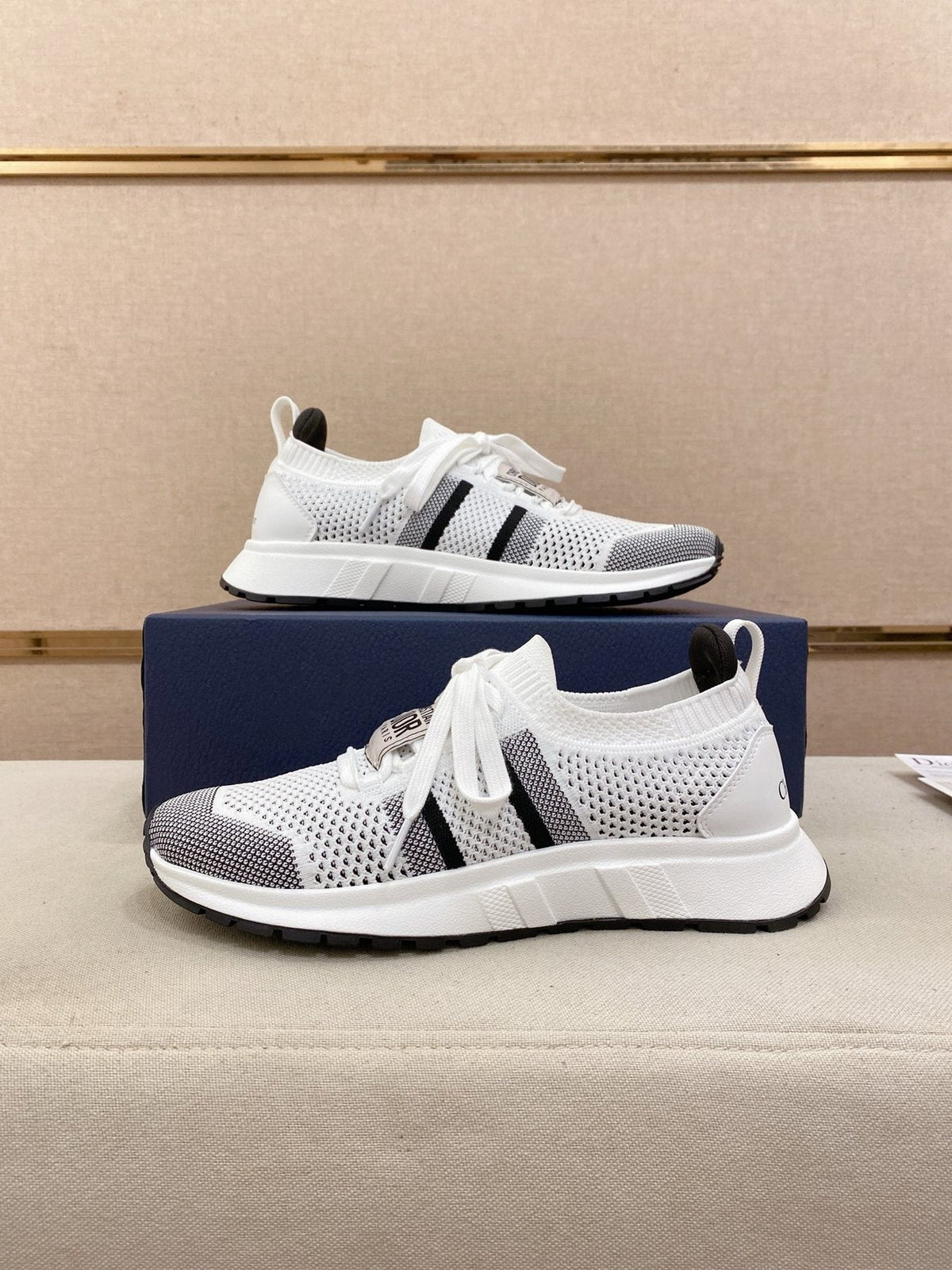 Dior B30 Mesh Sneakers